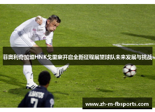 菲奥利奇加盟HNK戈里察开启全新征程展望球队未来发展与挑战