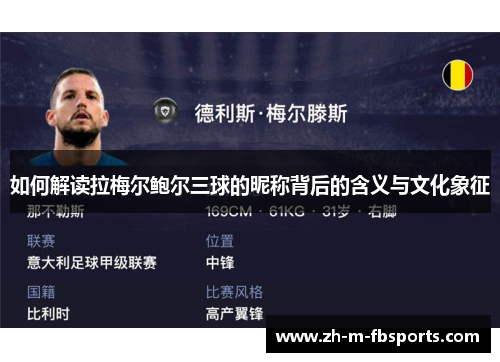 如何解读拉梅尔鲍尔三球的昵称背后的含义与文化象征 如何解读拉梅尔鲍尔三球的昵称背后的含义与文化象征