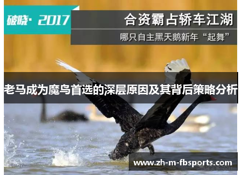 老马成为魔鸟首选的深层原因及其背后策略分析 老马成为魔鸟首选的深层原因及其背后策略分析