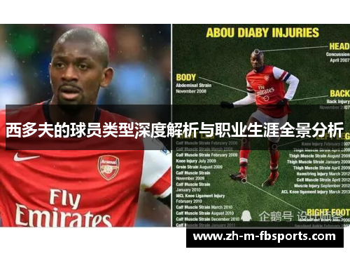 西多夫的球员类型深度解析与职业生涯全景分析