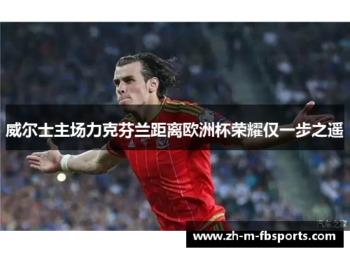 威尔士主场力克芬兰距离欧洲杯荣耀仅一步之遥